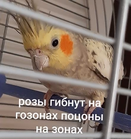 83c649f009d109c41a6dd9eef7706c5e.jpg