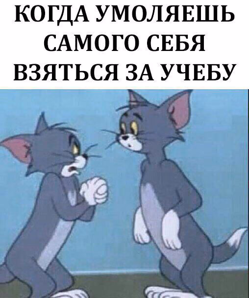 83c884240ace47a5ec6c93ae57507ae8.avif