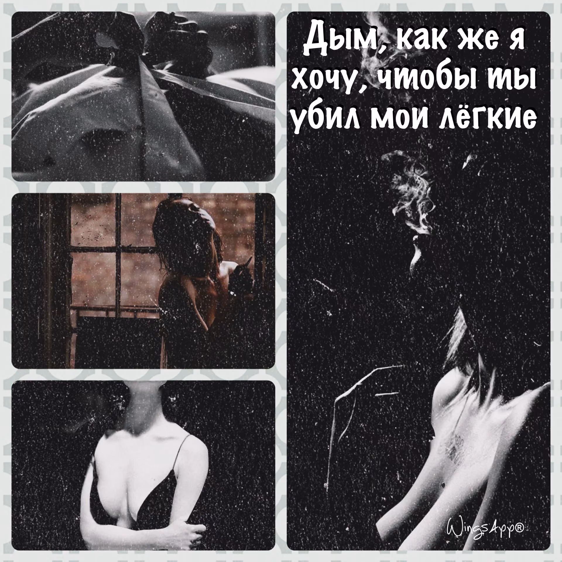 83ca97af68d0b33e34e6103470196d53.jpg