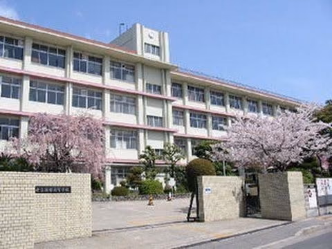 83d0276c6e2adcea1b1d307ecf692e0e.jpg
