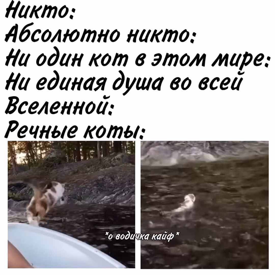83f20f527883acd93349eda9723190aa.avif