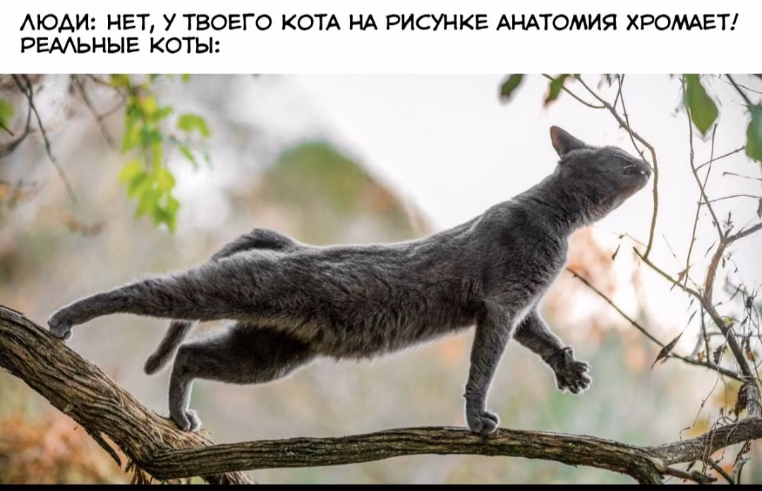 83fe5081a6124ab5f413f703fd48168d.avif