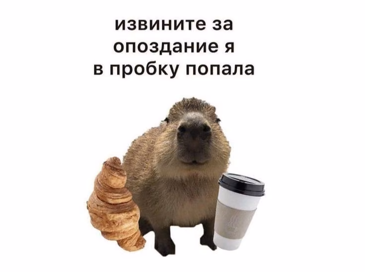 840022fff7c8bed1852587092149e6a1.avif
