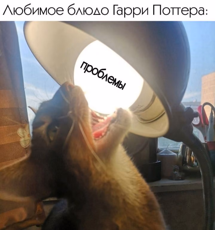 840144cf08f6844ff701ac90aa991c47.avif