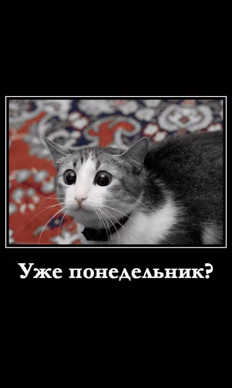 8403362e3ccab252ff36e933da6d6e6f.avif