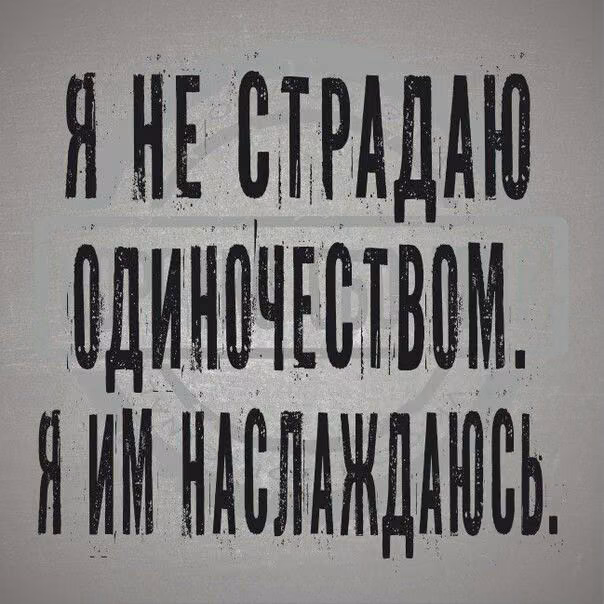 840d5240cf21681141e5f5878c61733e.avif