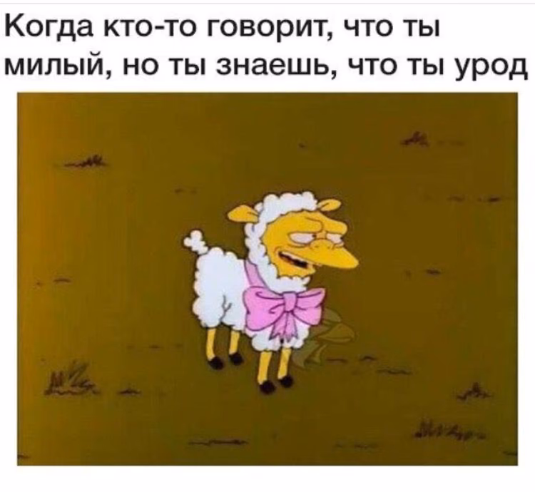 841f4dda45fac9c2aa7407df16c42ea0.jpg