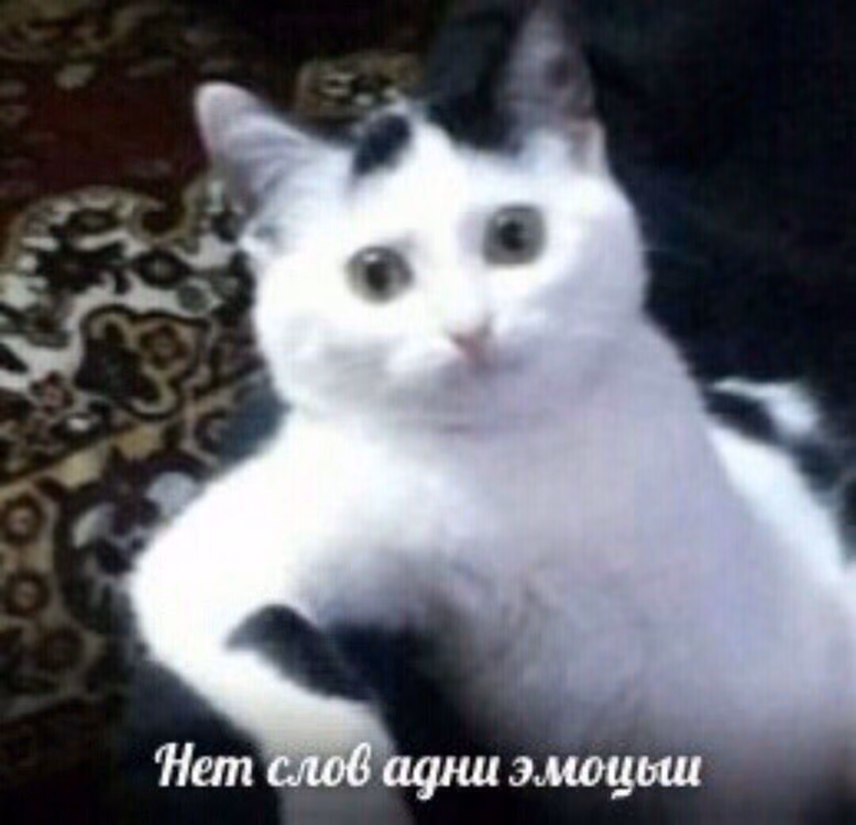 8438d037802f44e48479bfd65fbcc7d3.jpg