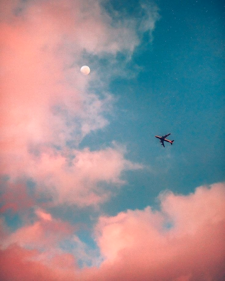 843911174b0069b76a8d6ea629b3d23c.avif