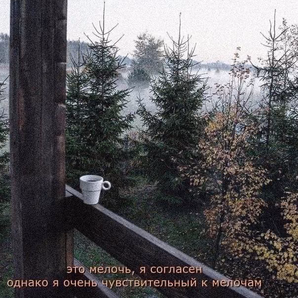 843b5a946f9d314fef1e3e1b69f996ae.jpg