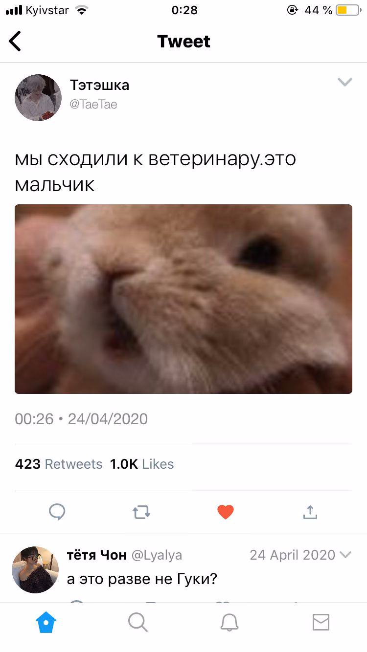 8450c9595f418db8e756f318cf57427d.jpg