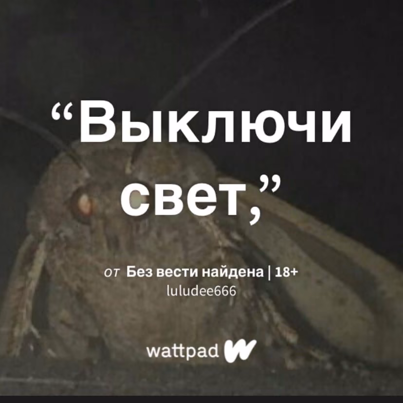 846d7320ce3f68419dce134e2af7770c.avif