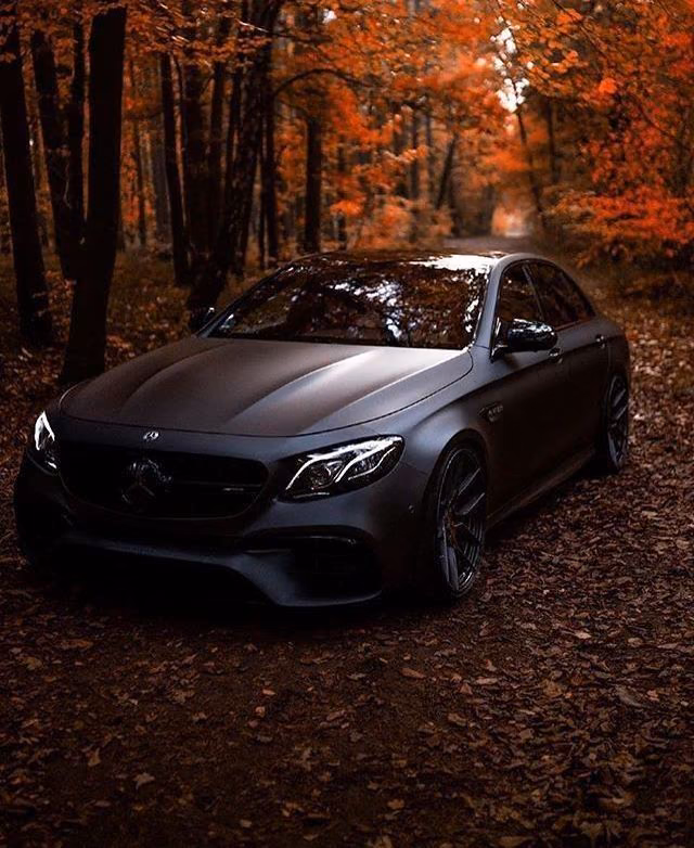 84733c6a081c3c8d48d5846b4a3e23bc.jpg