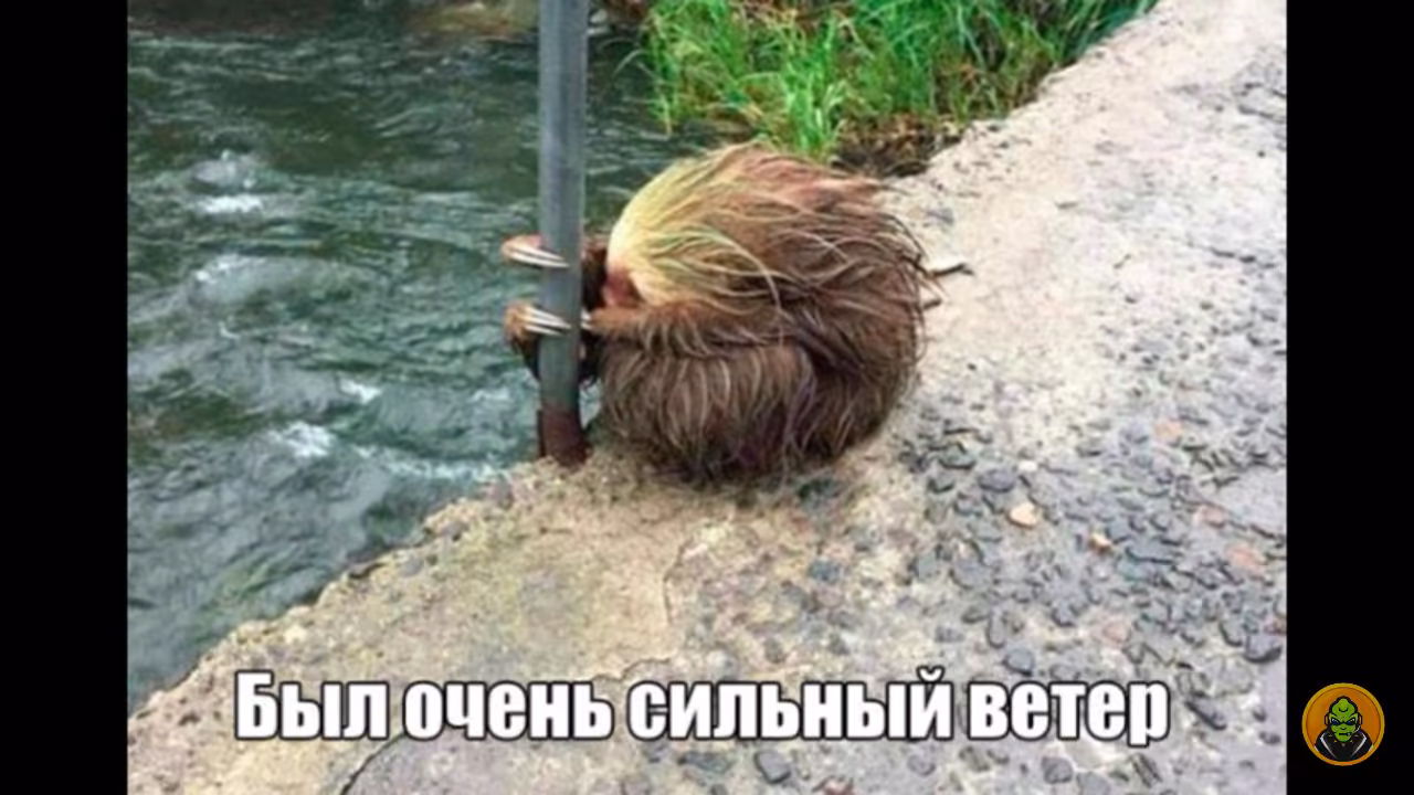 84755d9a937b9cfc192e7838bb94f493.jpg