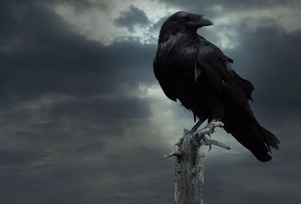 8488278869b04f1d6c15830225f28990.avif