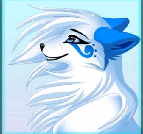 849a14fa12ede85bb5a053fb6b9f718f.avif