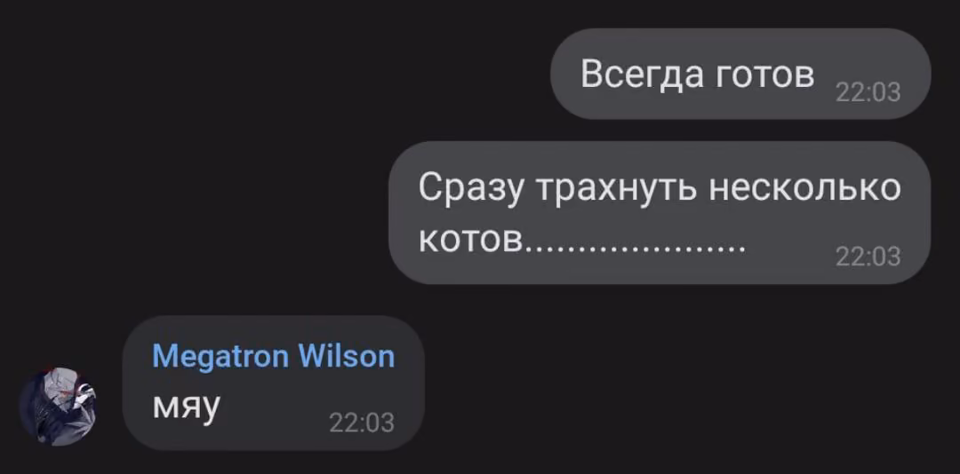 849fb41b5834c0396fa14765ee1d4dc9.avif