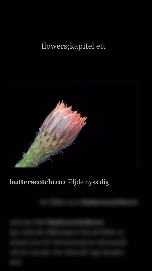 84a26234780f675489cc8e6a360fe7fb.jpg