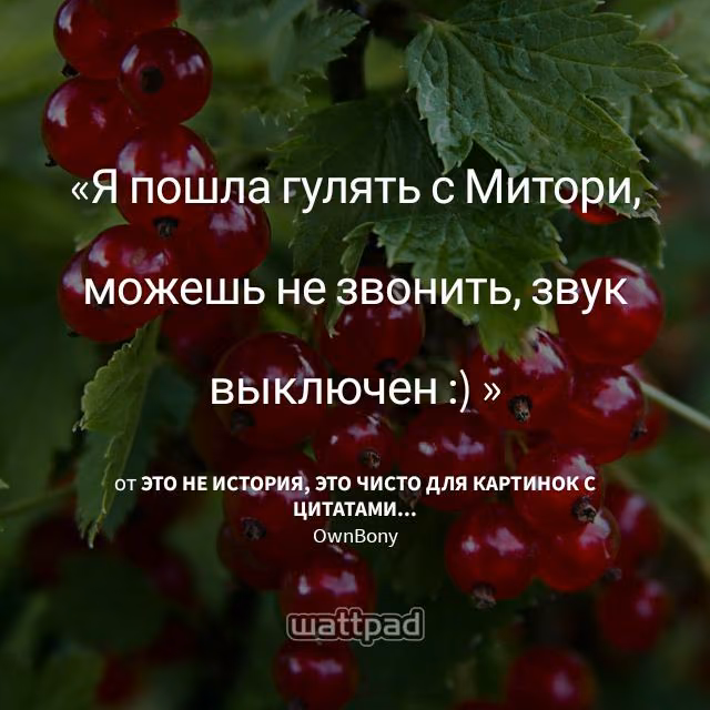 84a9ba394c77d78f1ac400dbe764abbd.jpg