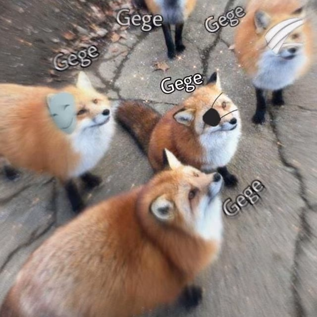 84b7d014667612f6fe3666f70c45f404.avif