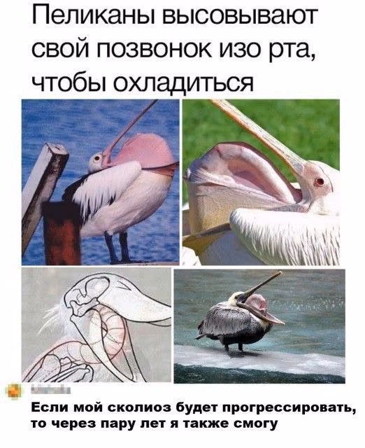 84b8aba38e51f77a4a3cf4e4d21c622f.jpg