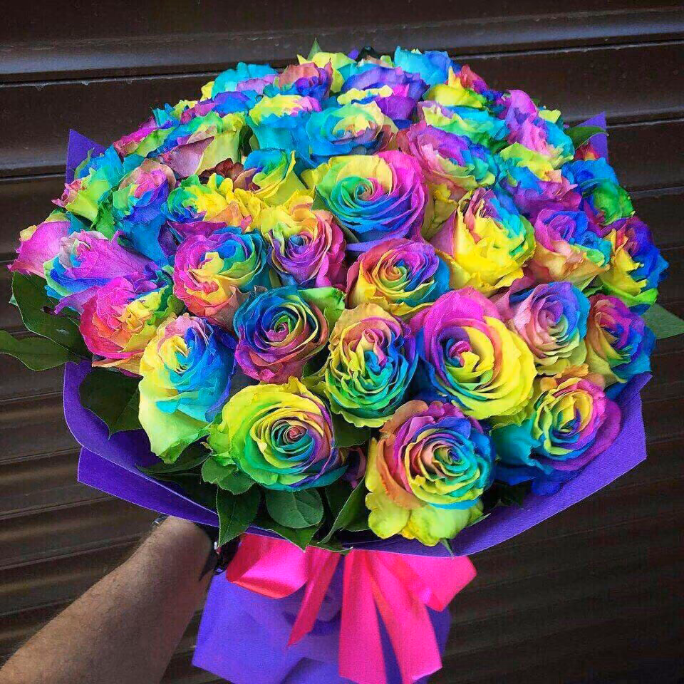 84ba7fff61fb1e4d8b9bfcd6b8e04227.avif