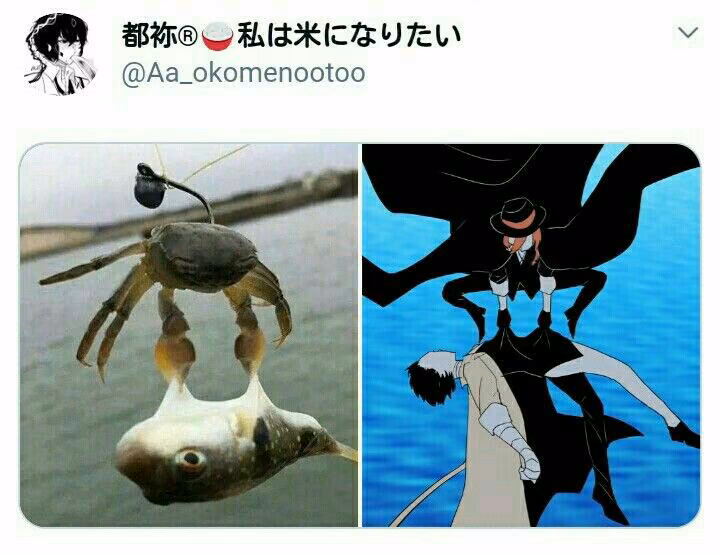84c14be46be69a58761512ab9f2a804c.avif
