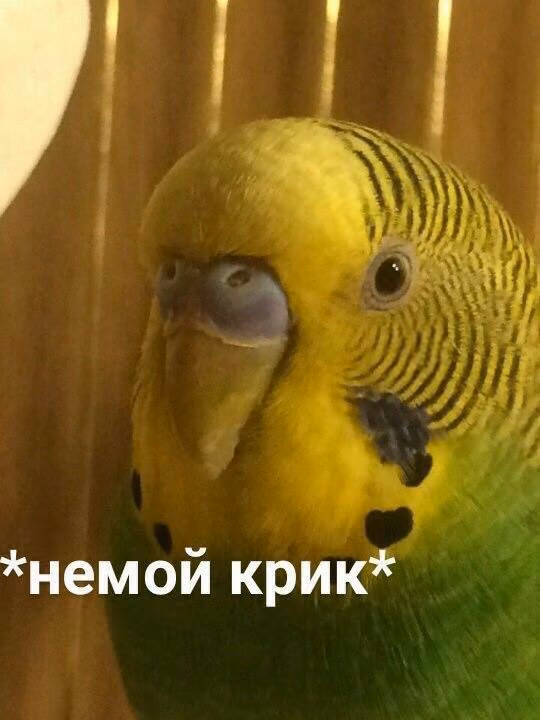 00f665eafb9dcdb9f1dd14b1c9986ff3.jpg