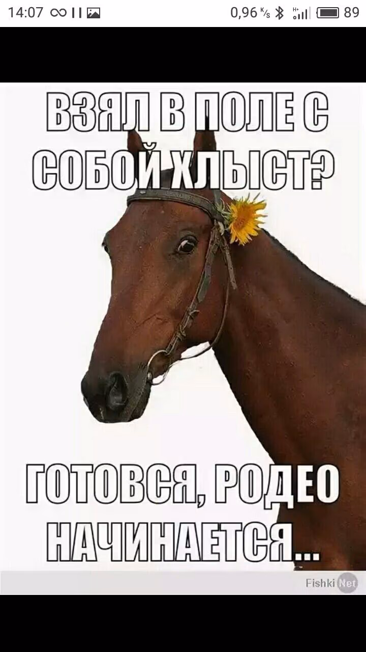 84d71b0a7e743452e00d38605203ea3f.avif