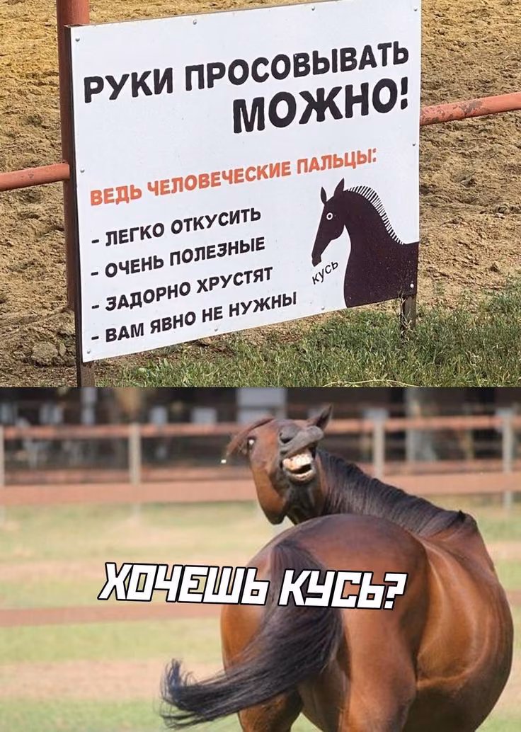84d80e2772badad50405431bd07c31e0.avif