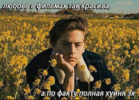 84dba60ab85f82e0724154674ce59de6.avif