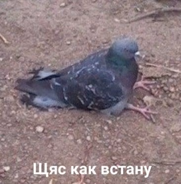 84f070a5f8cedbb6ca19e2a6d8ca0429.avif