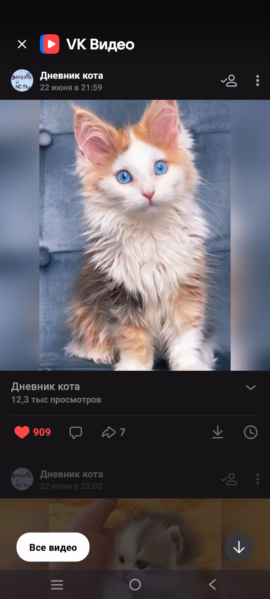 8510c419c9ac086fddf38279f1a34df8.avif