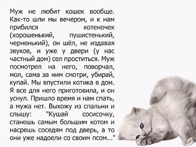 8514fe392d08343bbd9aaa6040c72464.avif