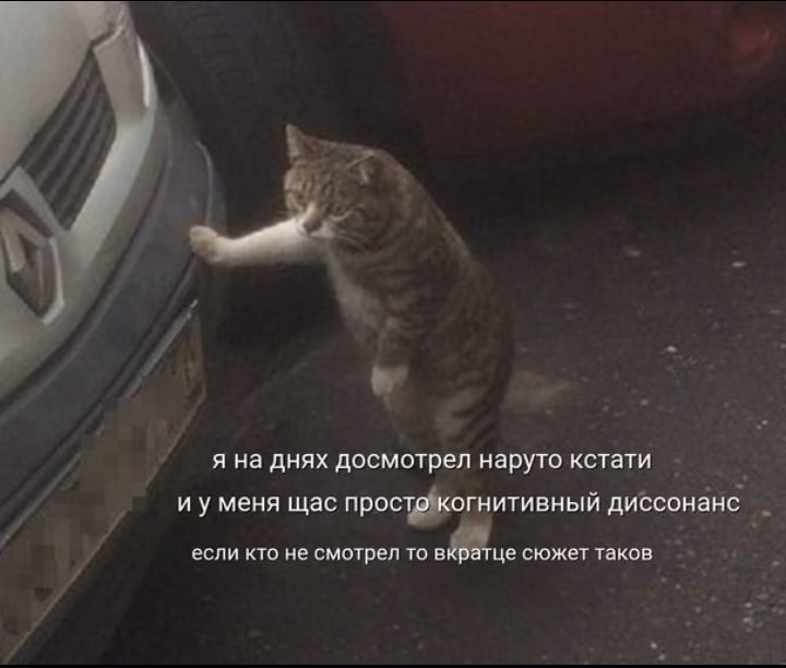 851b3a0a9ed319d56bac25a3a0dffe8e.avif