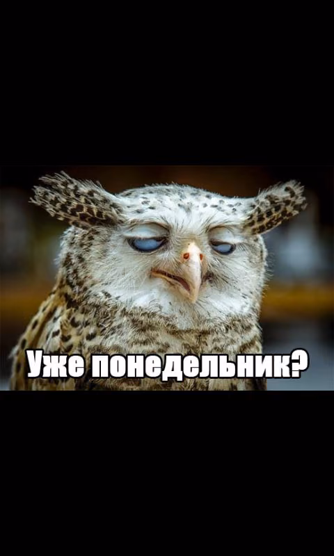 8520f993d3796c93bcc41e1c784da717.avif