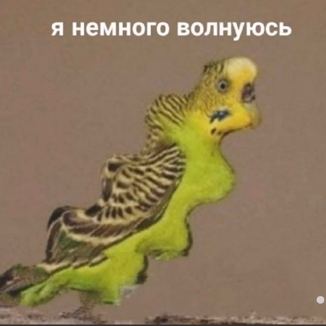 85254cb77a56cd1b2f6994a512eeaf61.avif