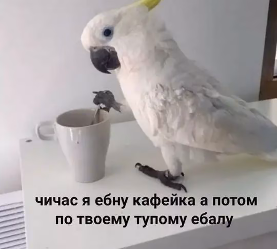 852a0f5ebb27db990b7092b143deb566.avif