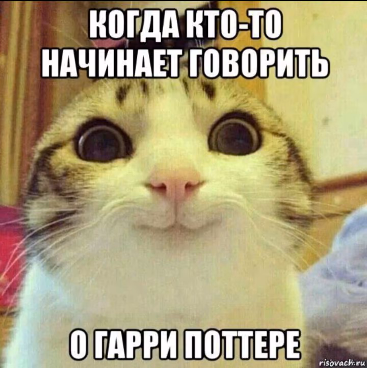 855cd47ec5fd7d92ee22c189da5bddee.avif