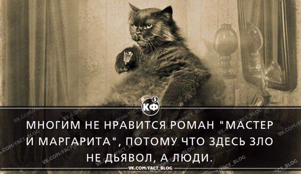 856926e3f0bd69dfaaaf09f416e88e5e.avif