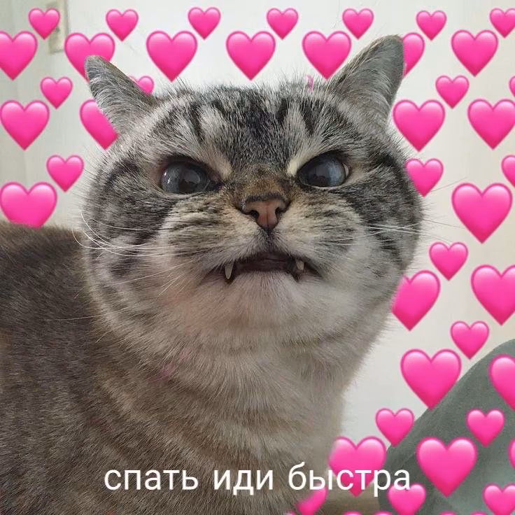 85903961ea34eaf7cca8d3d7ab395aed.jpg