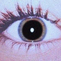8591352ff098a4bdc34ff9739bc285cb.jpg