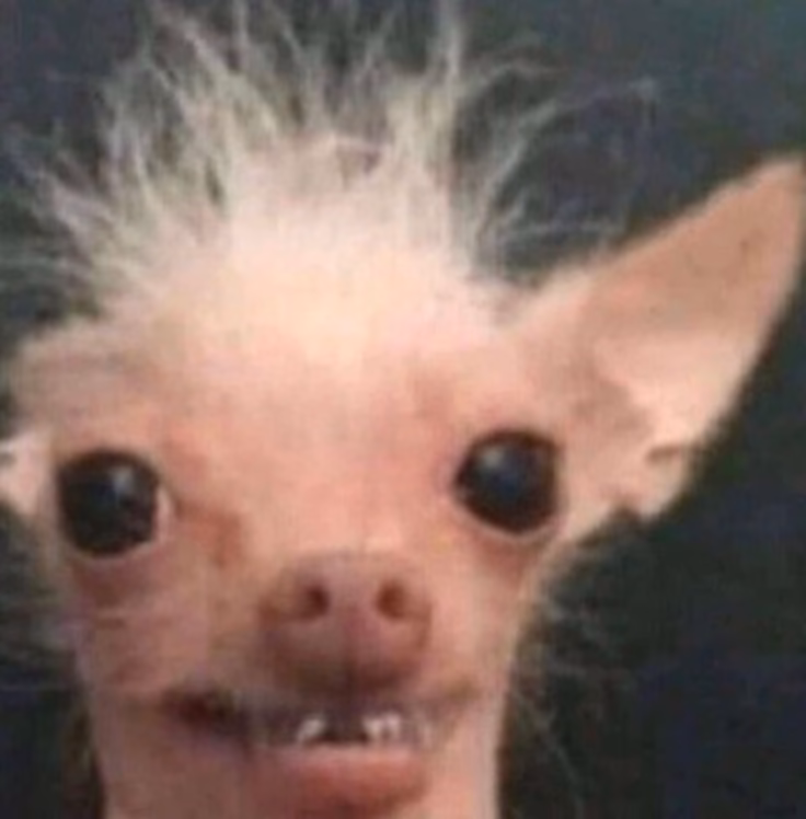 859217314f09258813658c582379f04f.jpg