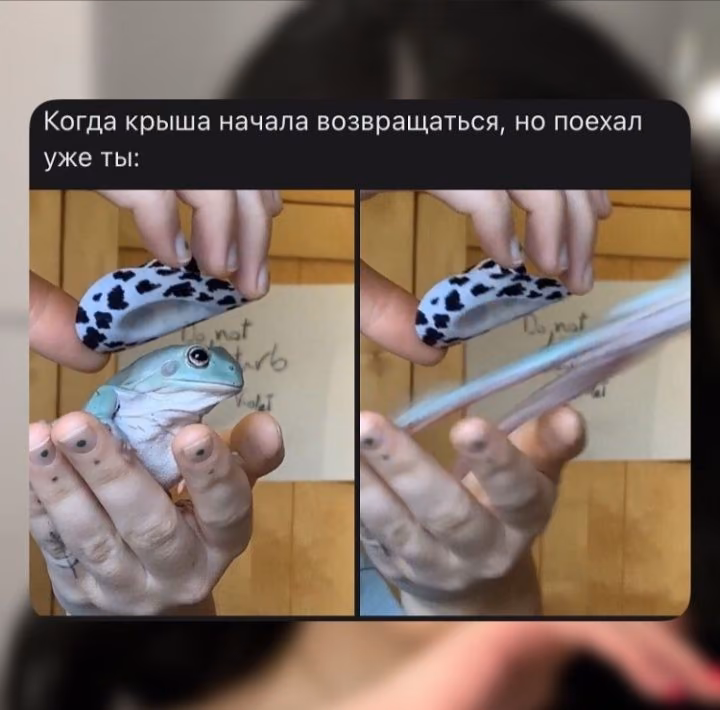 859a8f3779aa9343d8173e5ad0357f03.avif