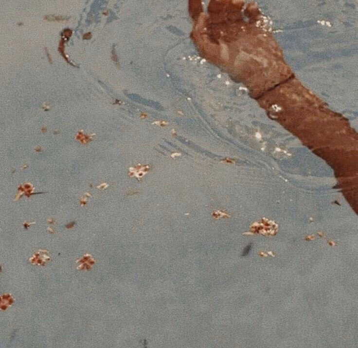 85a9200aa55e85d59c8c3d856f86fa32.jpg
