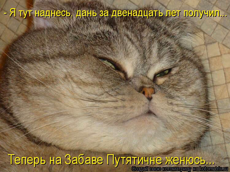 85b4a32256016e52d49b1a3d6afcc14d.jpg