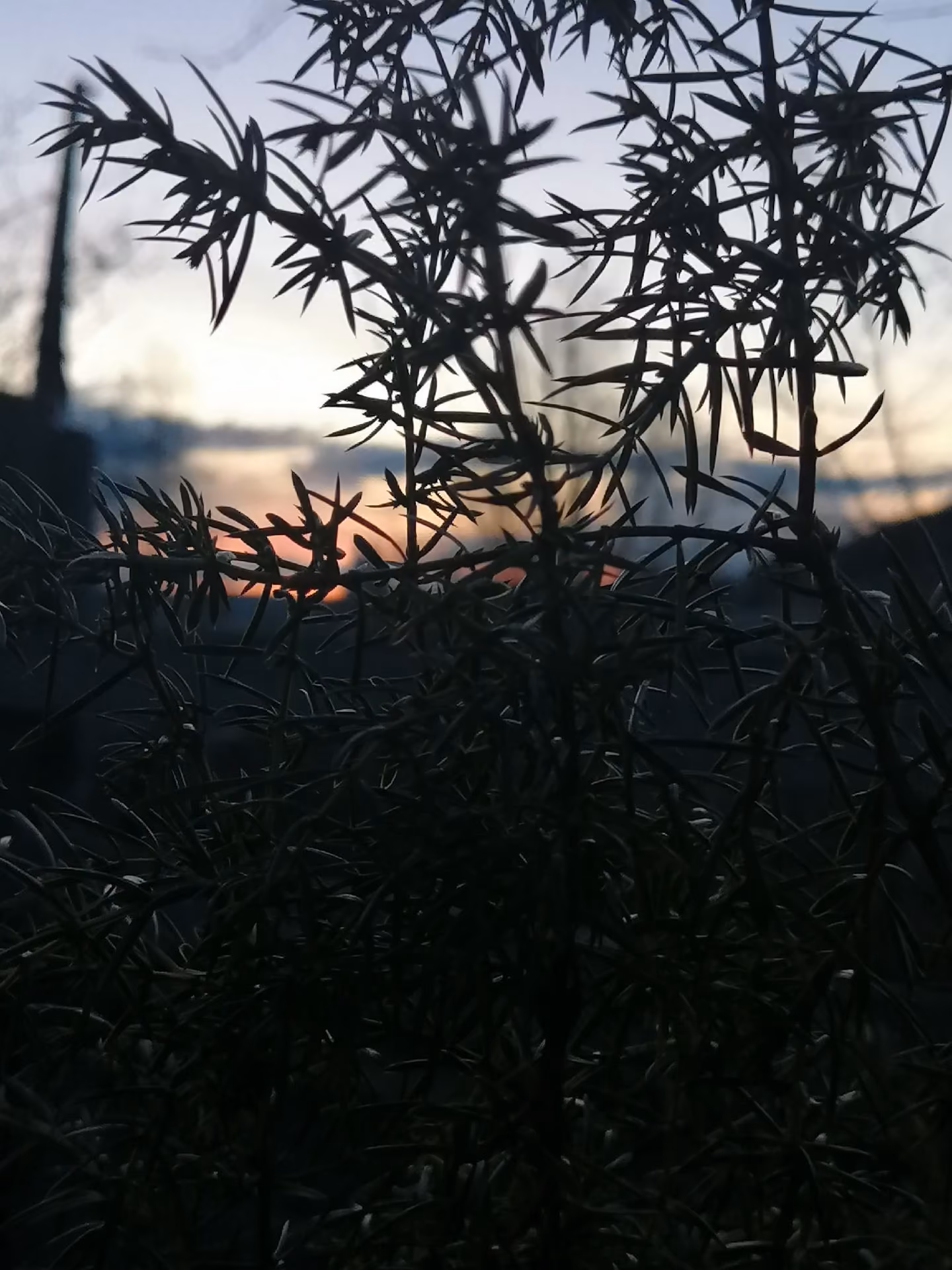 85b87860596708891f42a55003dde057.jpg