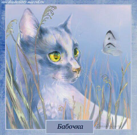 85b9c1eaa2fa9d4f213b835c56d5ea18.jpg