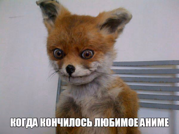 85ce33cebfd49acf84ad08fd291fd30a.jpg
