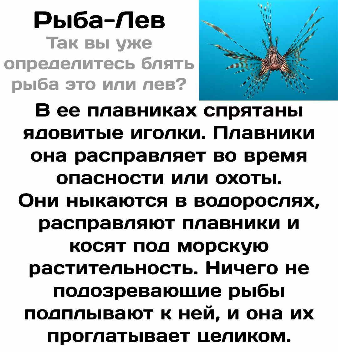 85ce44edf1d2507f6c251b1d94cc0d78.jpg